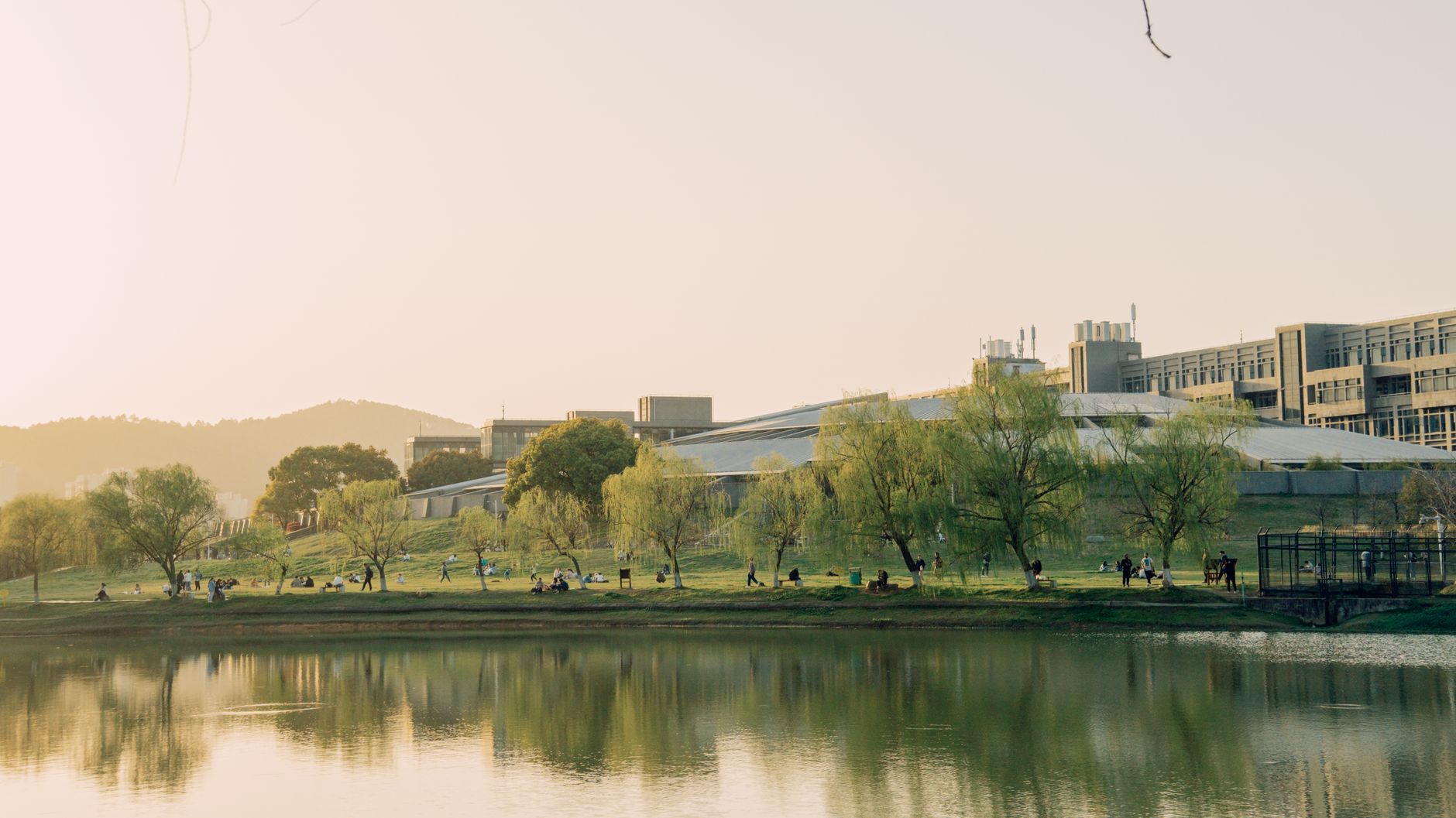 STEM专业学生在实验室进行科研