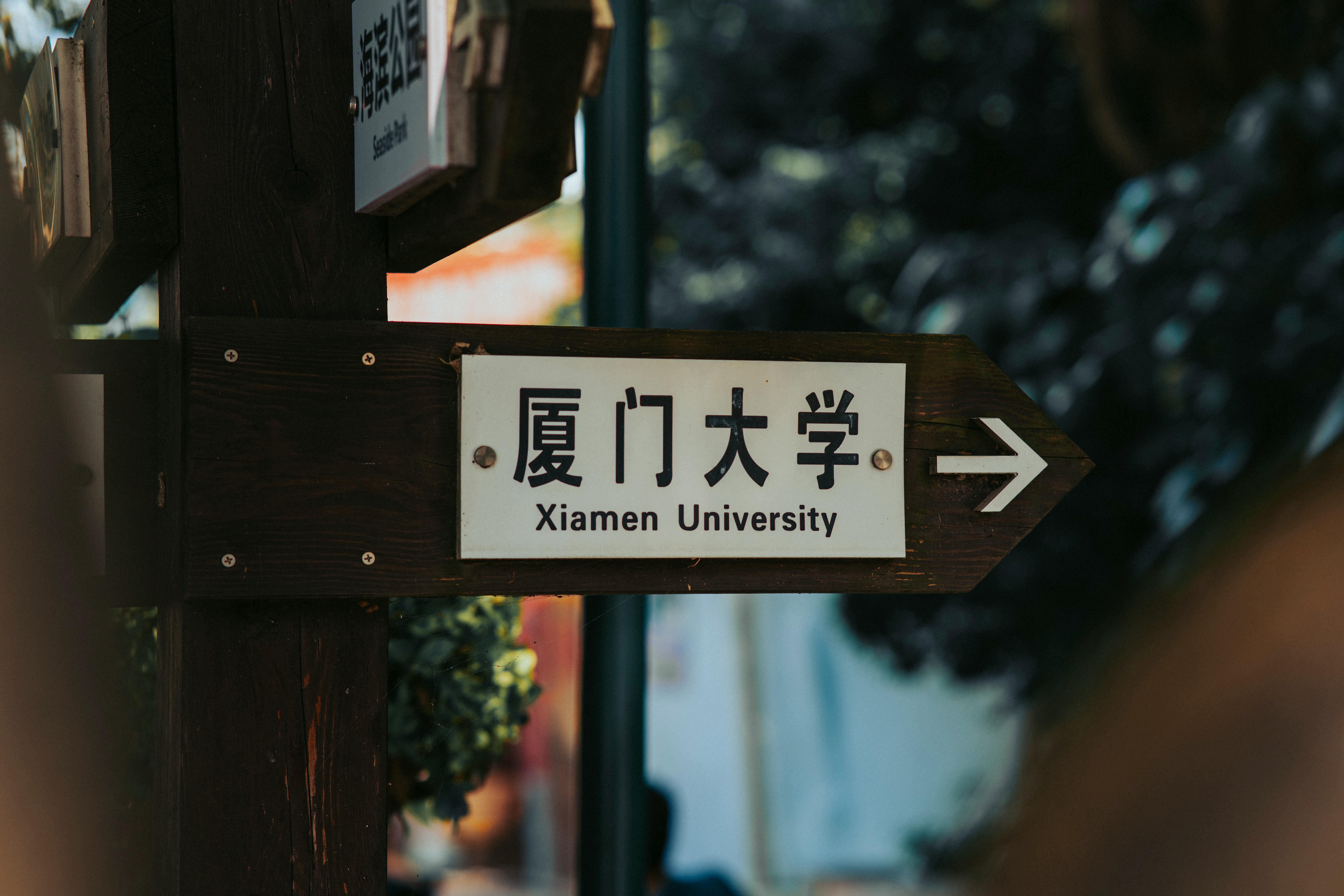 2026美国留学全流程指南:从申请到毕业的完整路径